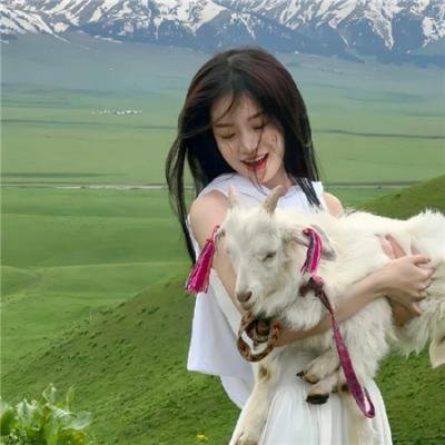 小猪扑满的愿望